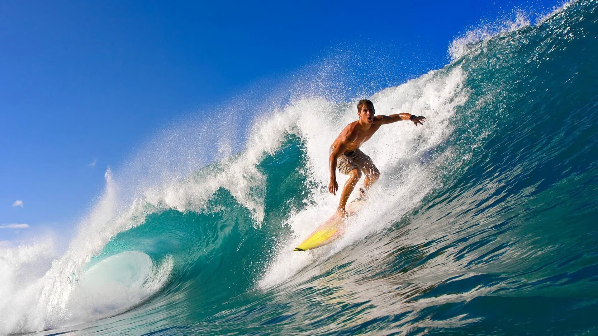 雄鹿压制辽宁队，范弗利特在英超争冠接管比赛，跨界竞技的隐喻与启示